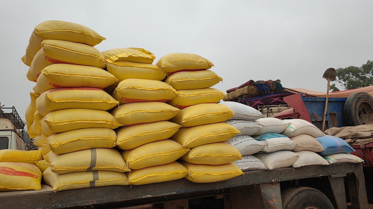 الأعلاف من سوق أربعاء اولاد سعيد مع اتمنة ،النخالة، الشمندر،،الدرة مطحونة