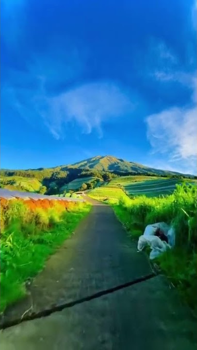 jalan-jalan biar gk jadi kaum anjim  #shorts #storywa #short