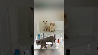 Нашли виновника торжества
