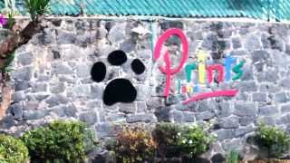 DF Fiestas Infantiles PRINTSLAND Todo Incluído