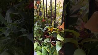 How Cotton Fabrics Improve Indoor Air Quality at Home screenshot 2