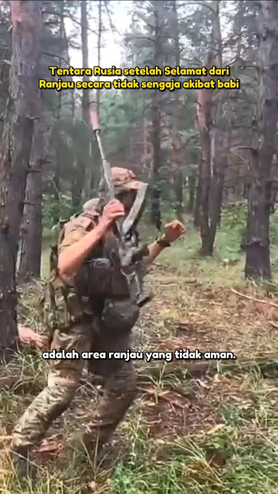 Ketika Tentara Rusia Selamat dari ranjau karena Seekor Babi.