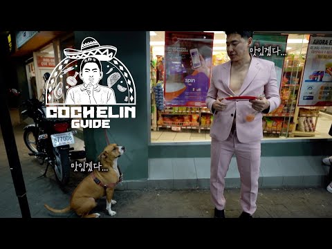 [꼬츌랭 가이드 ep.3] 지나가던 개도 환장하는 맛 길거리 타코