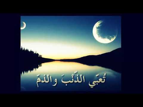قصيده ايا من يدعي الفهم