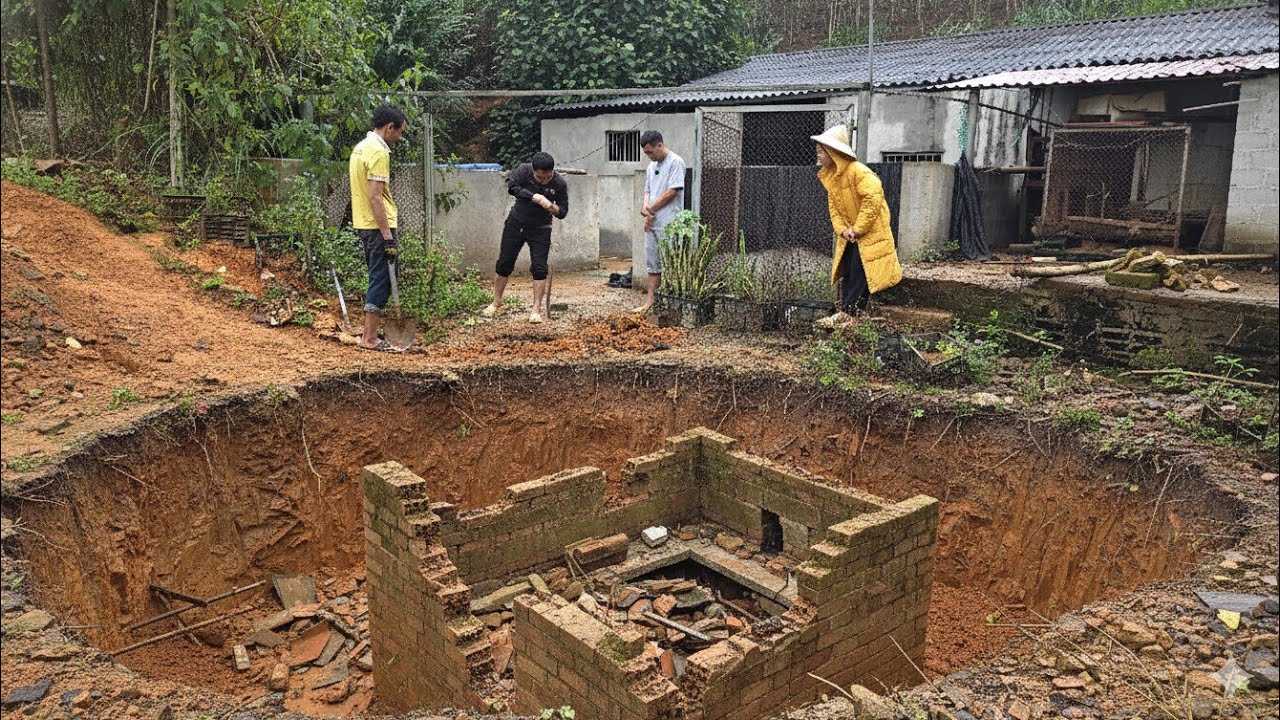 Lưu Hậu Phát Hiện Ra Vết Tích Cổ Xưa Của Một Đại Gia Đình Từ Giấc Mơ Và Câu Chuyện Lạ Thỏ Mẹ Cắn Con