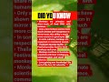 🐒 Our closest relatives are fascinating!