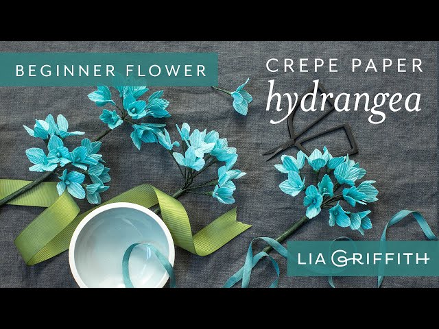 How to Make a Hydrangea Bloom - Botanical Garden Starter Flower