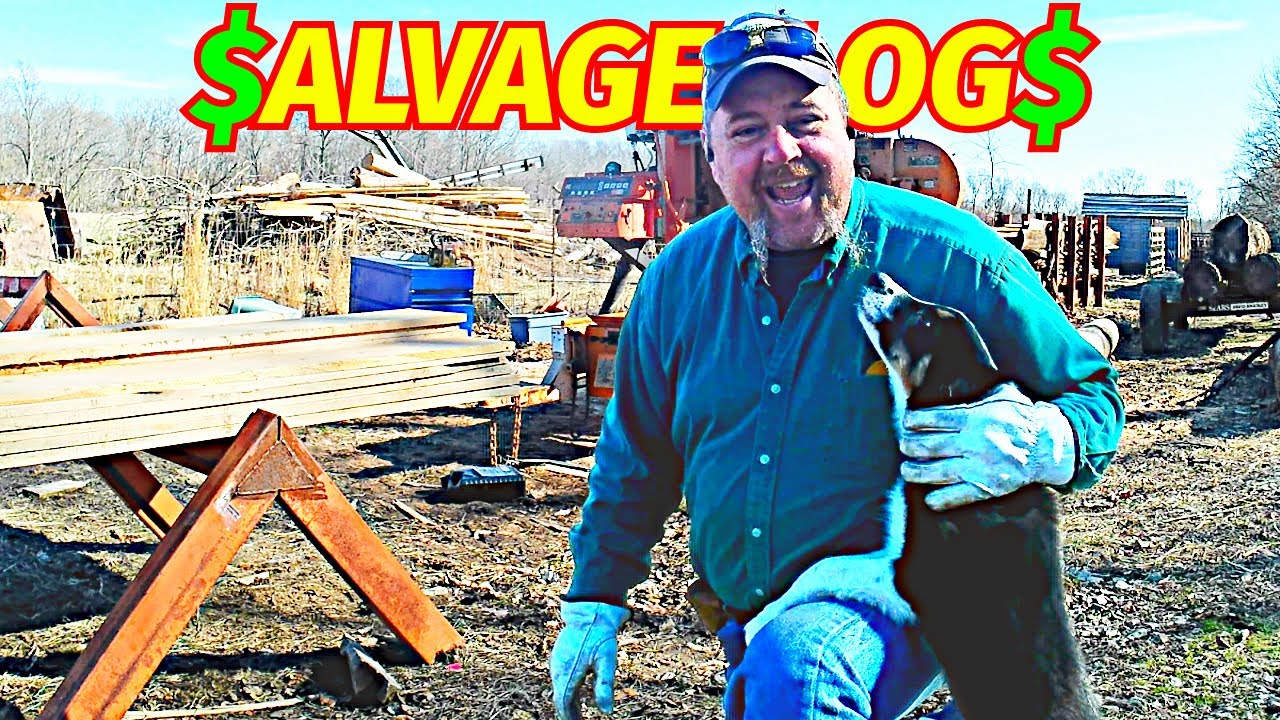 SALVAGE Log BREAKDOWN on the WOODMIZER SAWMILL; Big Lumber Order - YouTube