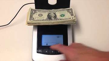 CIS 3000 Money Scale