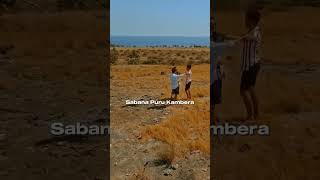Cerita singkat Savana Puru Kambera ? #sumba #exploreindonesia #travel