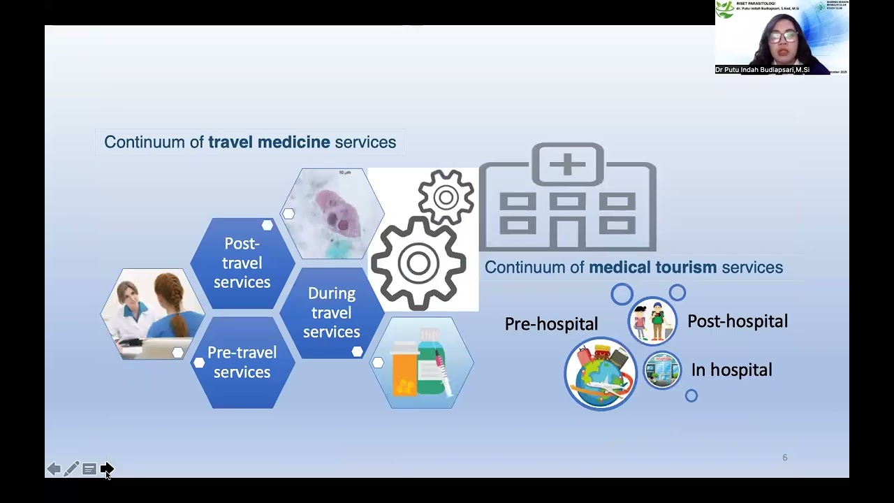 Diseases Mapping on Health Risk in Travelers