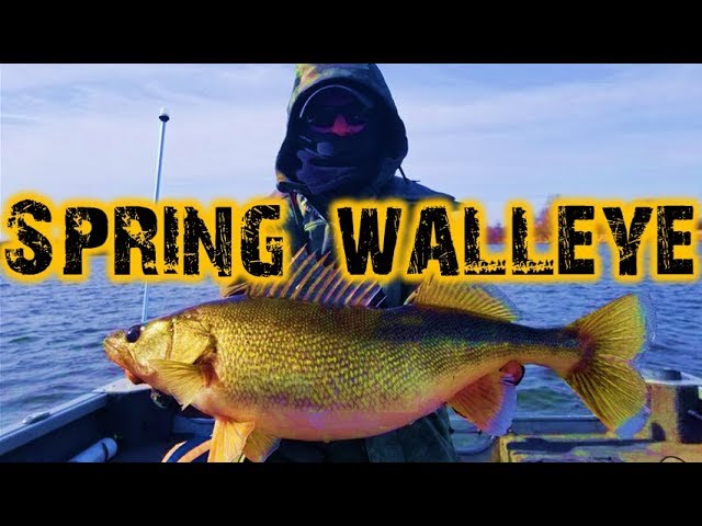 Walleye Fishing - Jigging and Trolling 