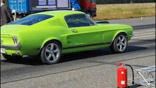 mustang malmi 2021/09