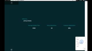 CxEngage Demo: 4 - Skylight Agent Facing Information & Metrics