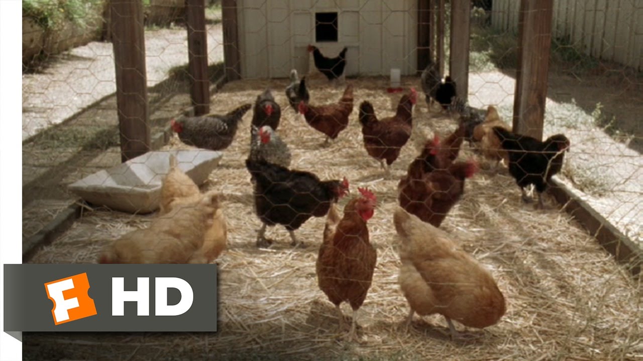 Year Of The Dog 5 9 Movie CLIP Paradise Farm 2007 HD YouTube Year of the dog 5 9 movie clip paradise farm 2007 hd youtube