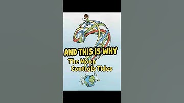 And This Is Why The Moon Controls Tides 🌙🌊 | Science Explained
