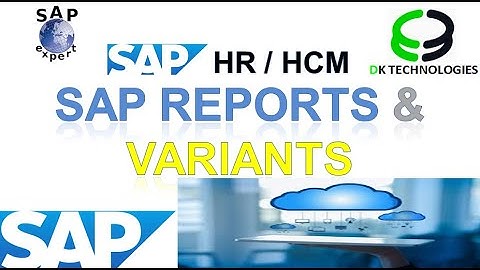 How to Configure Standard Reports and Variants in sap | sap hcm reports | DK TECHNOLOGIES