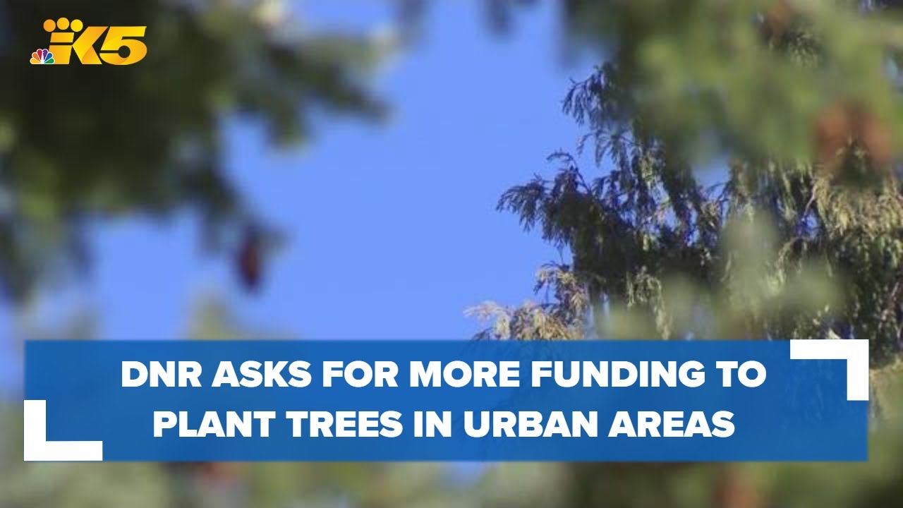 Lands commissioner wants to expand ‘urban forestry’ grants
