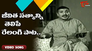 జీవిత సత్యాన్ని తెలిపే రేలంగి పాట..| Velugu Needalu | ANR, Savitri | Old Telugu Songs