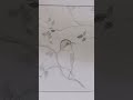 Bird drawing / #shorts