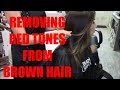 Eliminating Red Tones in Brown Hair: A Comprehensive Guide