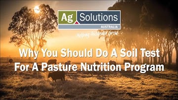Why you should do a soil test for a pasture nutrition program