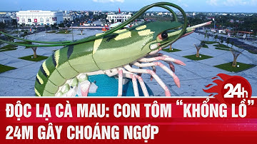 Độc lạ Cà Mau: Con tôm “khổng lồ” 24m gây choáng ngợp