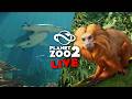 LETS TALK PLANET ZOO 2 - All News, Infos and Speculation