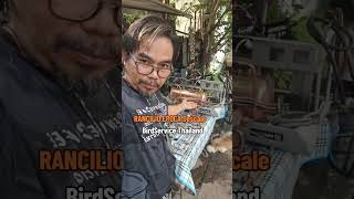 Rancilio Epoca Descale Overhaul Repair By Technician bird Thailand Maintenance Repair Shop Thailand
