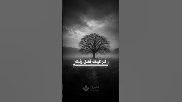 ألم تر كيف فعل ربك بعاد | محاكاة المنشاوي | سورة الفجر #المنشاوي