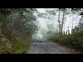 ビデオエッセイ「風の歌を聴け」:KAY'S VLOG #7〜Hear The Wind Sing