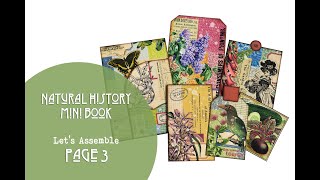 Natural History Mini Book - Assembling Page 3