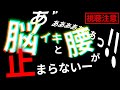 【メンバーシップ限定】自己責任でご視聴ください