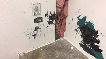 Whatcom County Jail housing unit damaged