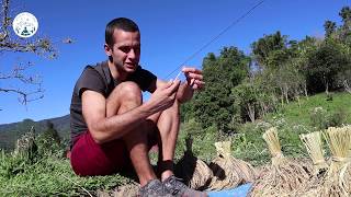 Pi̇ri̇nçi̇n Hi̇kayesi̇