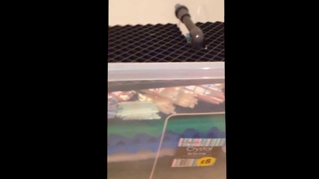 DIY Pond Filter UK Version Backflush & Bio Filter Homemade YouTube