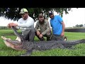 11'3 Lake Okeechobee Gator