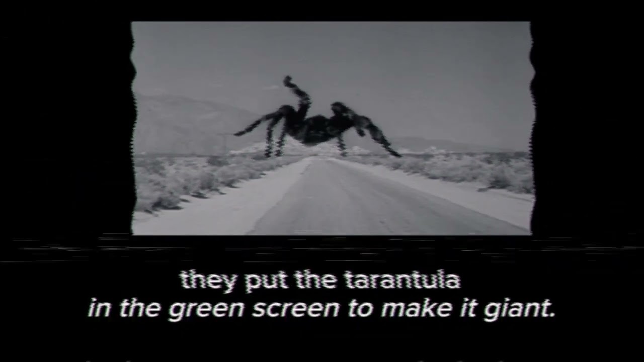Tarantula incident (1955) Tarantula analog horror