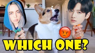 Does My Corgi Dislike Bts Or Billie Eilish? Life After College Ep. 647