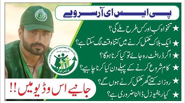 PSER Enumerator Job Explained | Salary  Duty Timing  Blocks & Door to Door Survey Punjab Govt