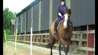 Flatwork Lesson on Herc 31/07/2008