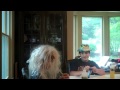 Hannah Alabama Spoof Hannah Alabama Spoof