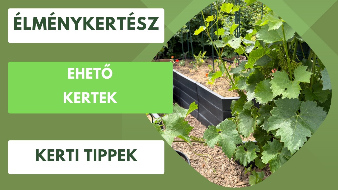 Ehető kertekben a jövő!🏡 Indul a pályázat!