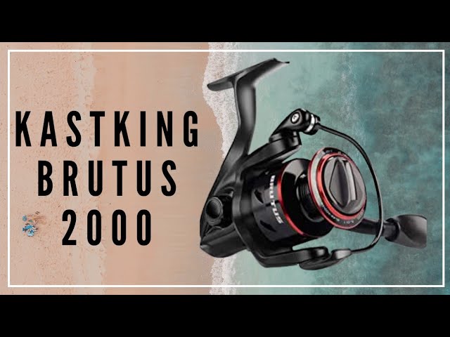 Unboxing KASTKING Brutus 2000s Fishing Reel 