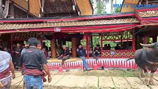 Rangkaian Acara Mantunu Rambu Solo' Alm. Pasang Pabita (Kakek Dito) di Tongkonan Pa'danan Nanggala