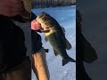 Huge Bass caught Ice Fishing!