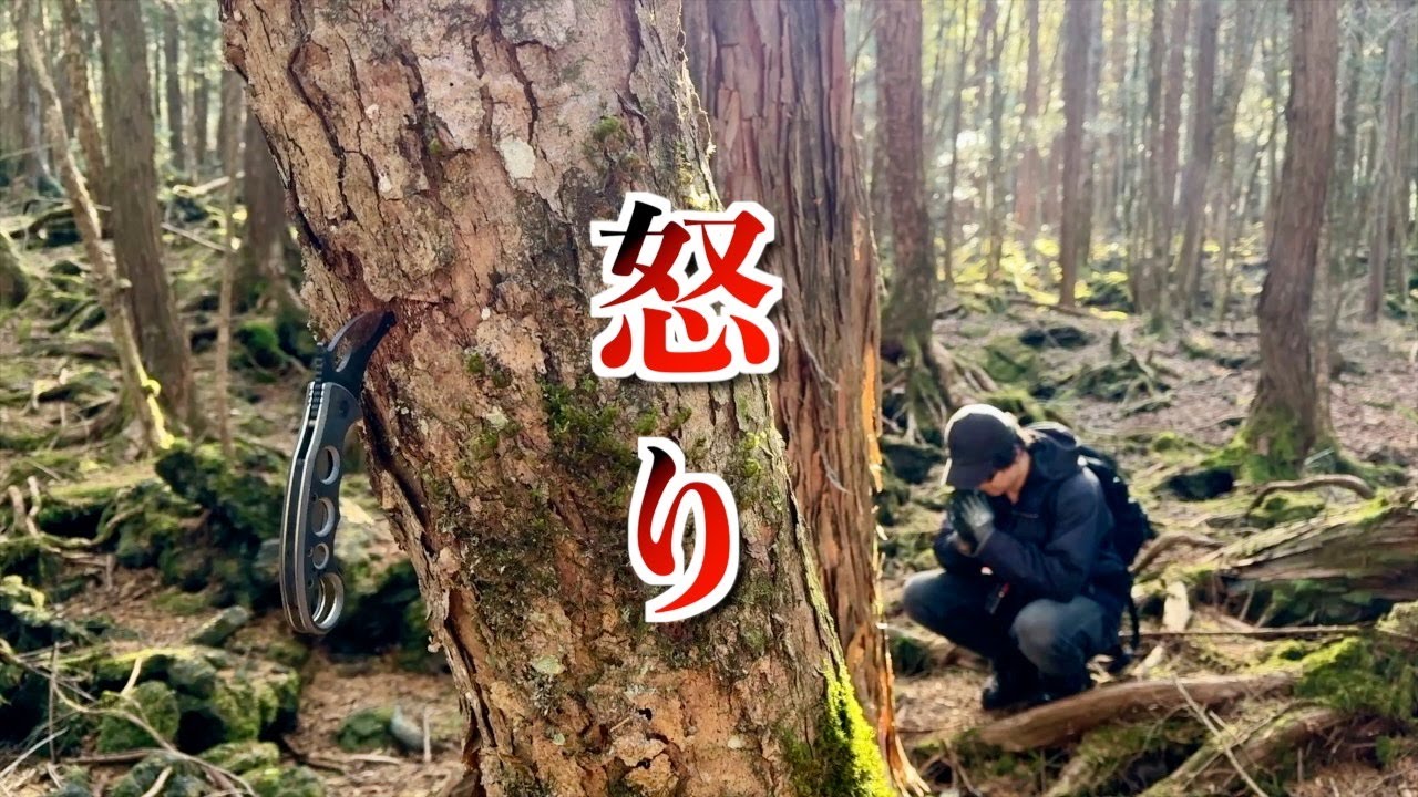 【末路】樹海の行方不明者捜索…残された感情の痕跡、放置車両の軽トラック…決意、覚悟、恨み