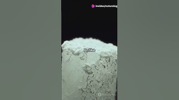 The Cool Science Behind Dry Ice!  #facts