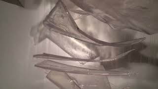 VID 20160926 WA0031