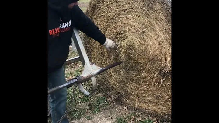Putting a bale on the Greg Judy UnRoller